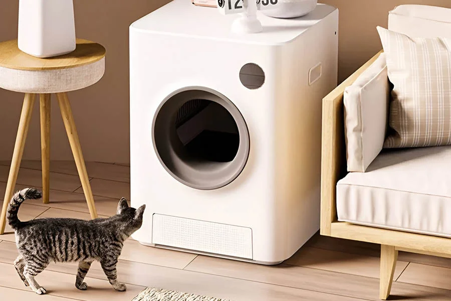 no odor litter box